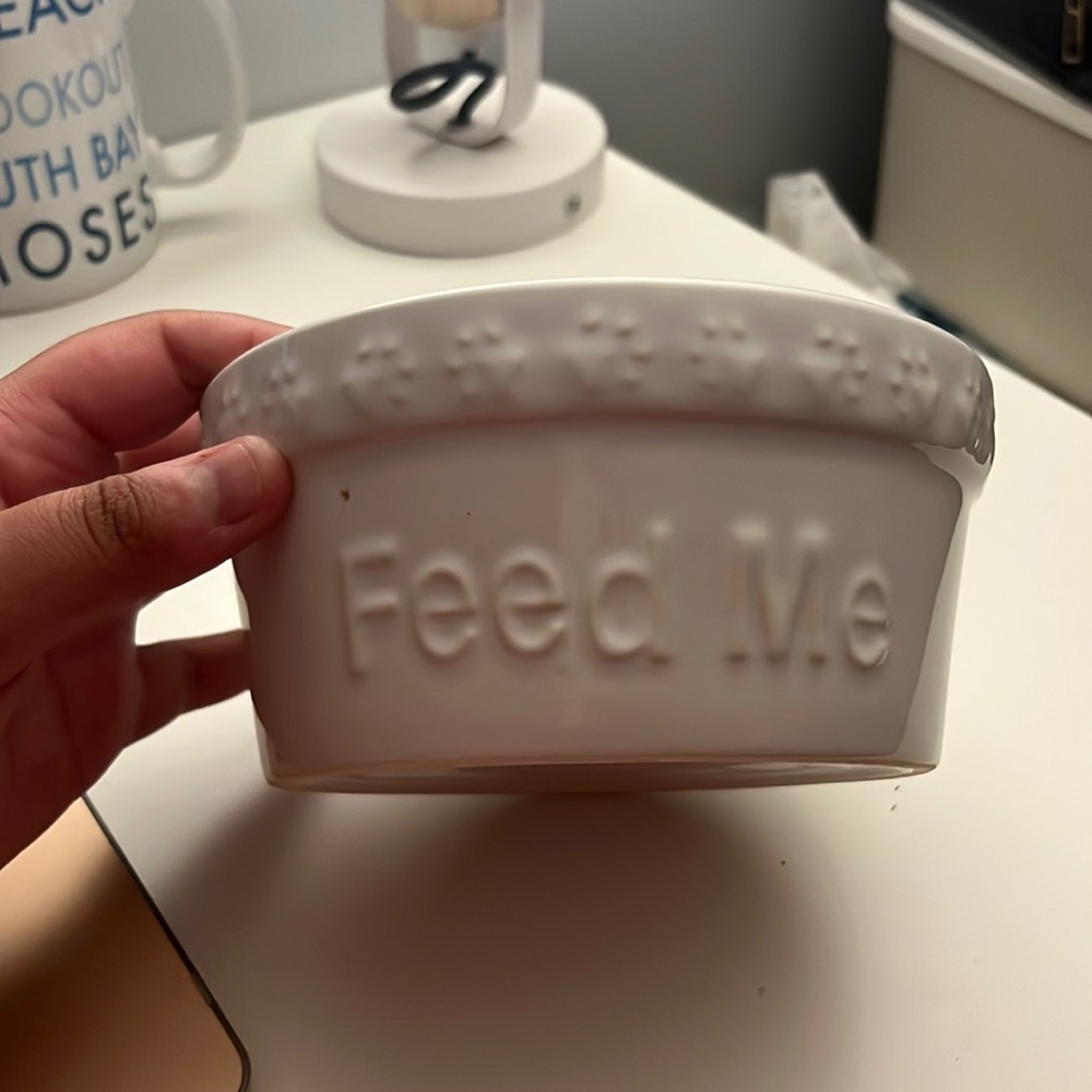 White dog bowl